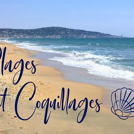 Plages Et Coquillages Vue Tres Proche Des Plages Climatisation شقة سُت