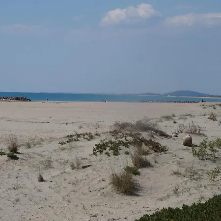 Plages Et Coquillages Vue Tres Proche Des Plages Climatisation سُت