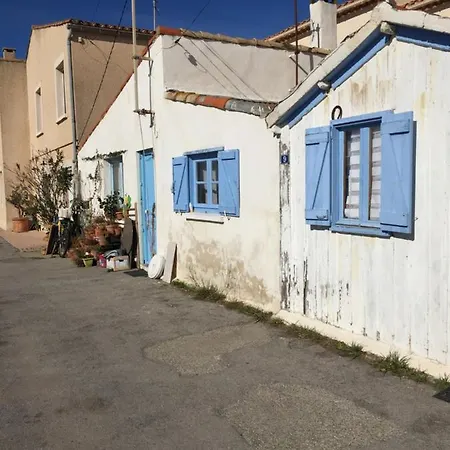 Plages Et Coquillages Vue Mer Climatisation Σετ