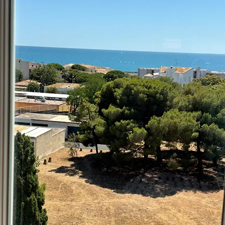 Appartement Plages Et Coquillages Vue Mer Tres Proche Des Plages Climatisation